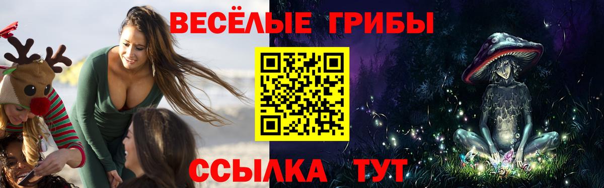 Псилоцибиновые грибы Psilocybe  продажа наркотиков  Вход с VPN  Петрозаводск  Галлюциногенные грибы MAGIC MUSHROOMS 